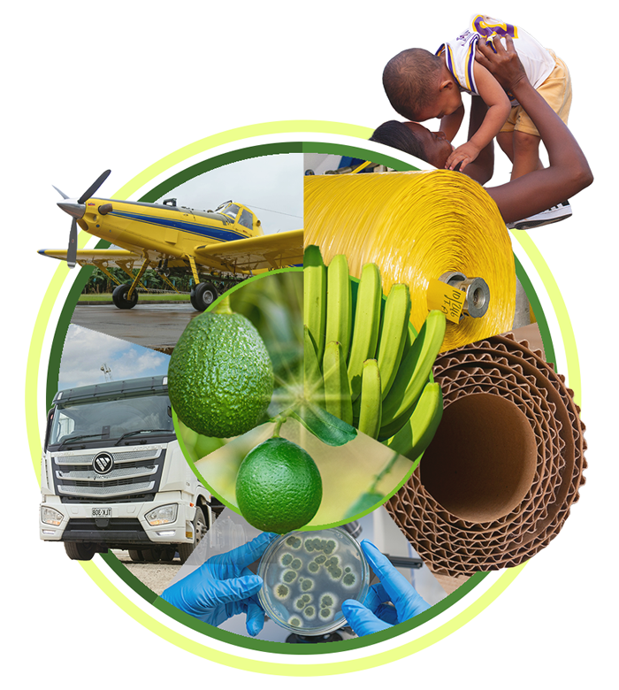 ecosistema