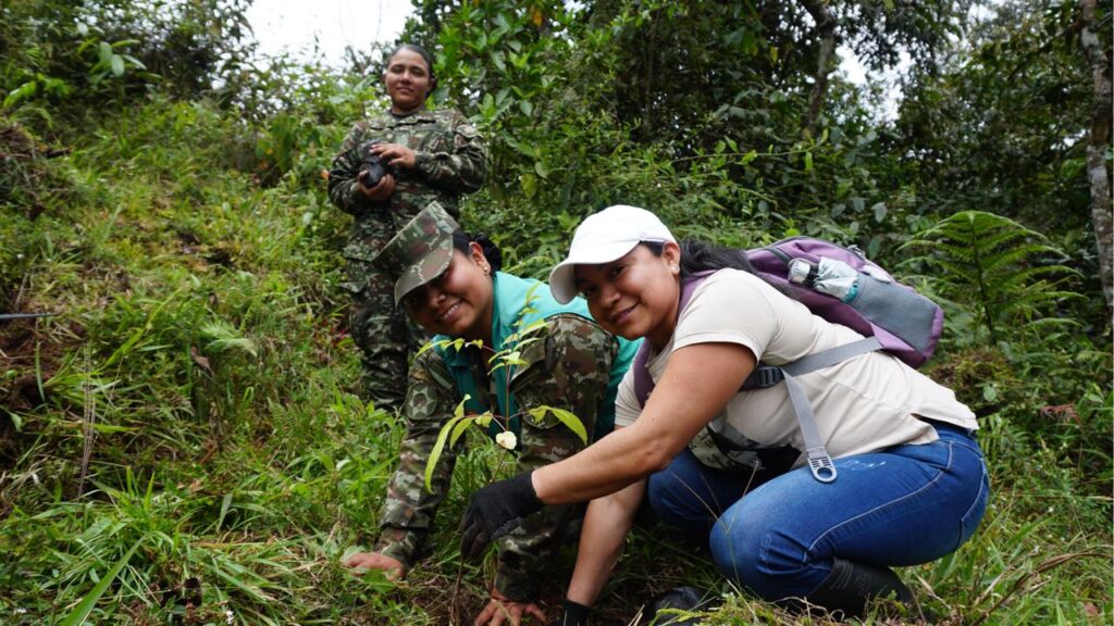 Sembramos futuro, cultivamos vida: 1.000 árboles nativos ahora crecen en Wakate